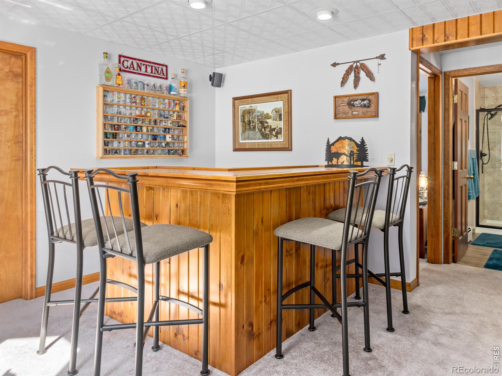 3807 Dollar Lake Drive Estes Park CO 80517