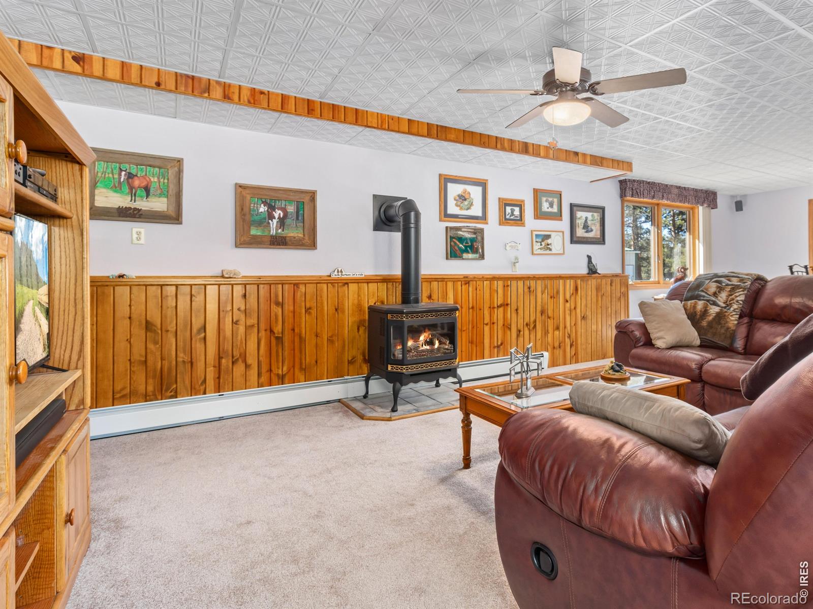 3807 Dollar Lake Drive Estes Park CO 80517