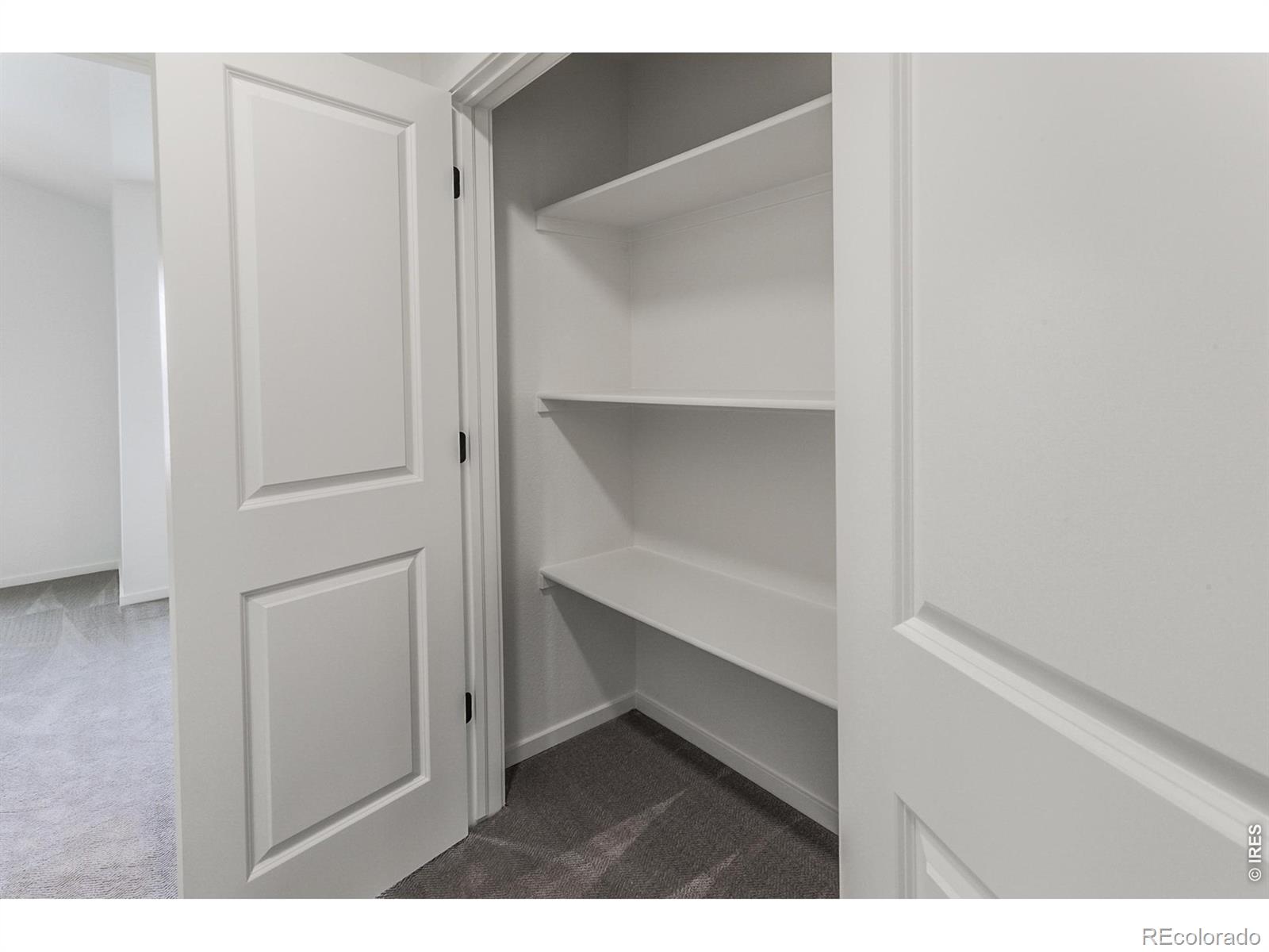 3261 Comet Street Fort Collins CO 80524