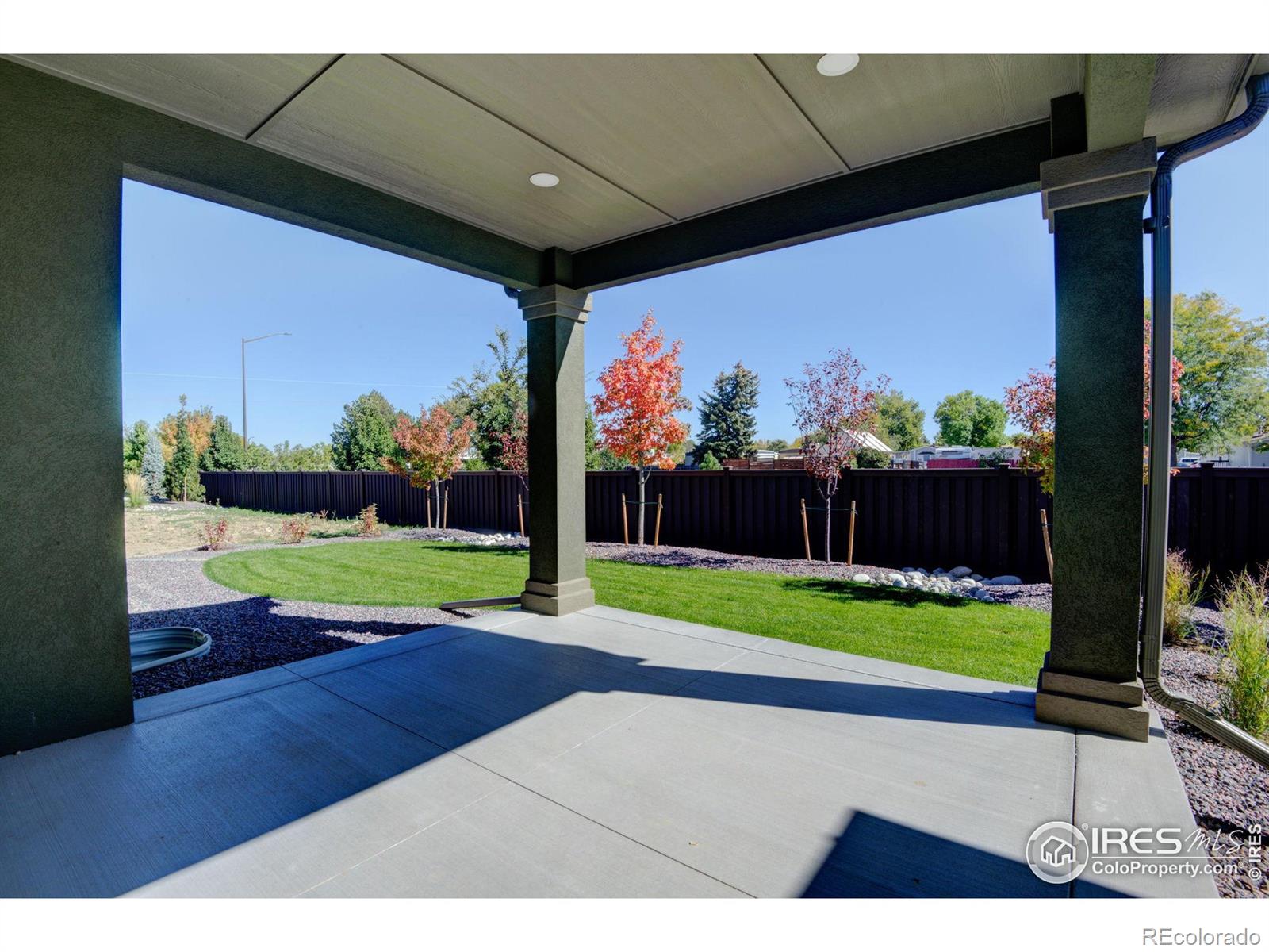 1158 Blue Agave Court Loveland CO 80537