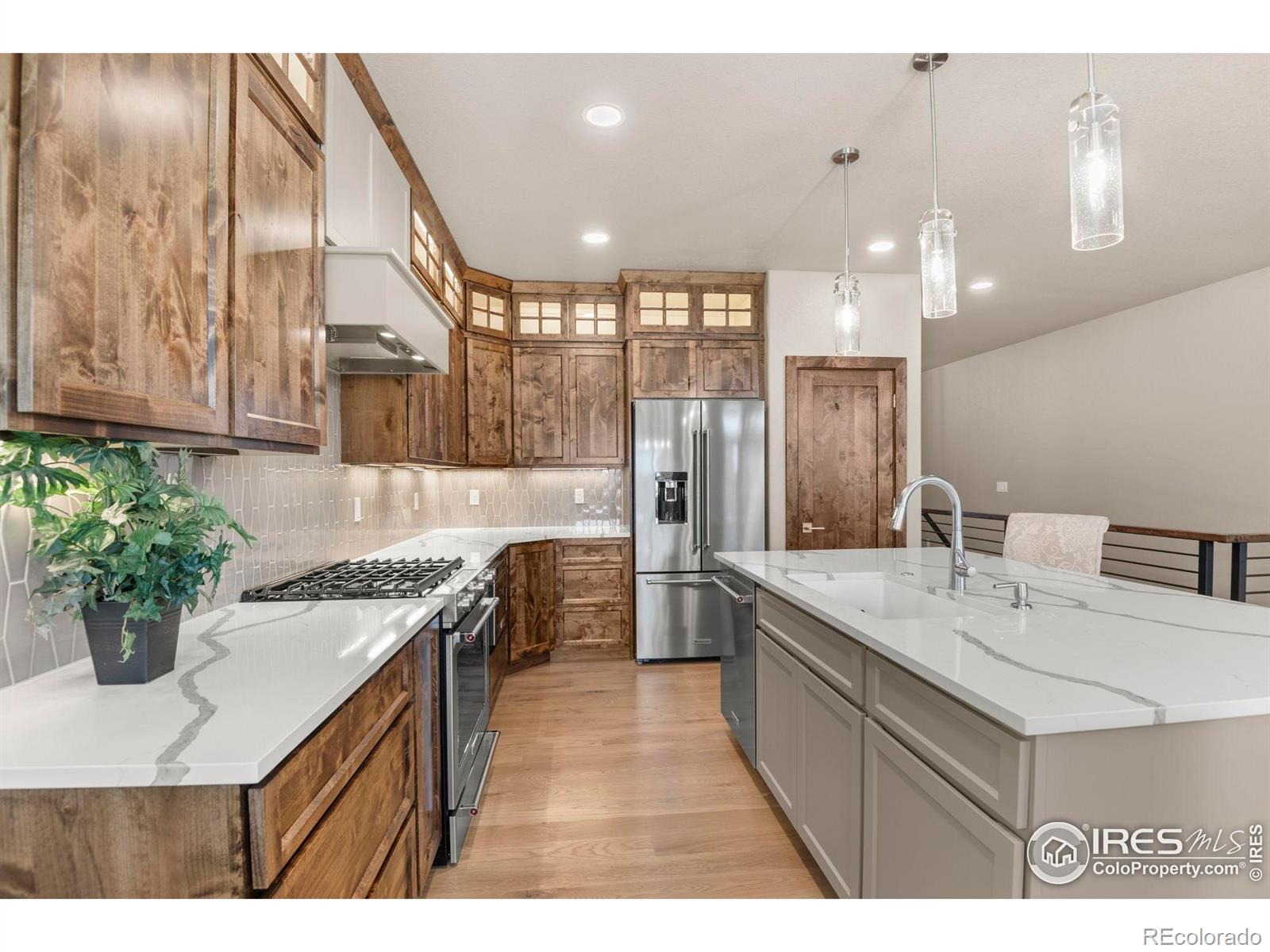 1158 Blue Agave Court Loveland CO 80537