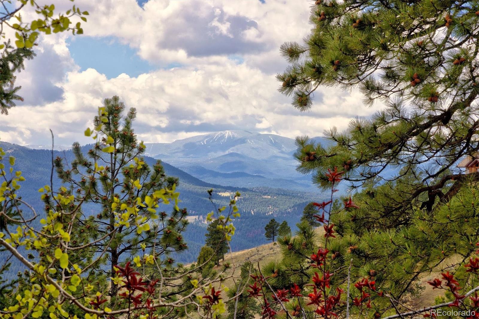 1952 Montane Drive Golden CO 80401