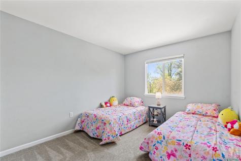 10094 Rockrose Court Parker CO 80134