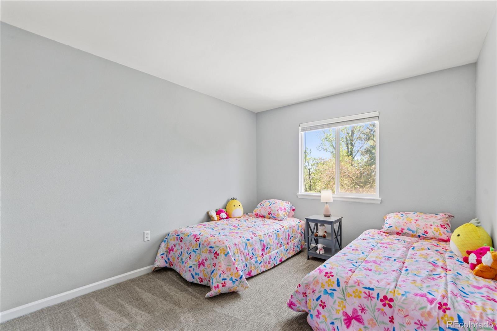 10094 Rockrose Court Parker CO 80134