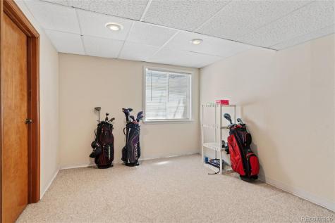 10094 Rockrose Court Parker CO 80134