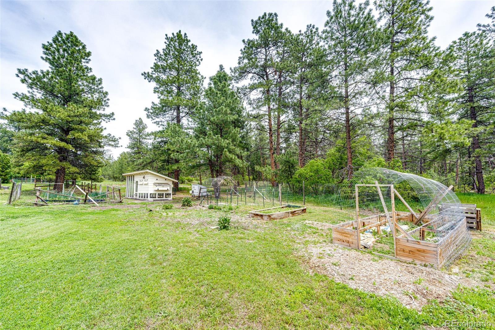 8788 E Tanglewood Road Franktown CO 80116