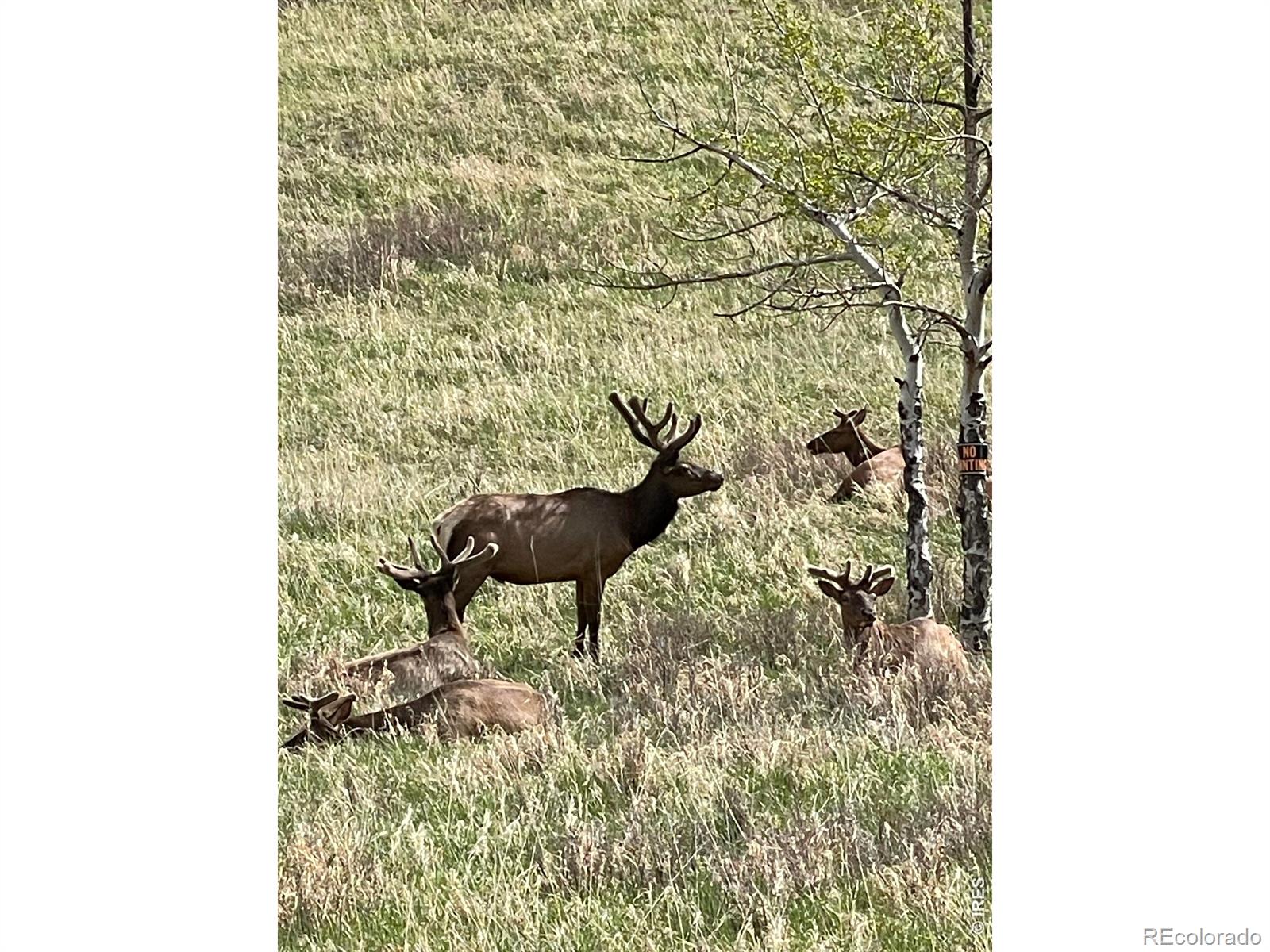 1565 Highway 66 Estes Park CO 80517