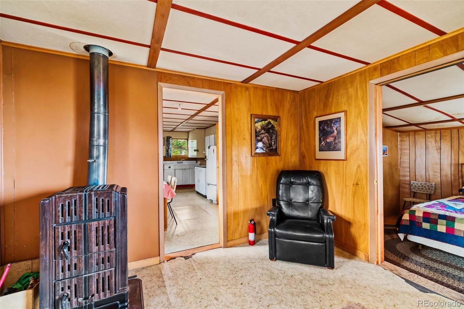 26 Meadow Drive Fairplay CO 80440