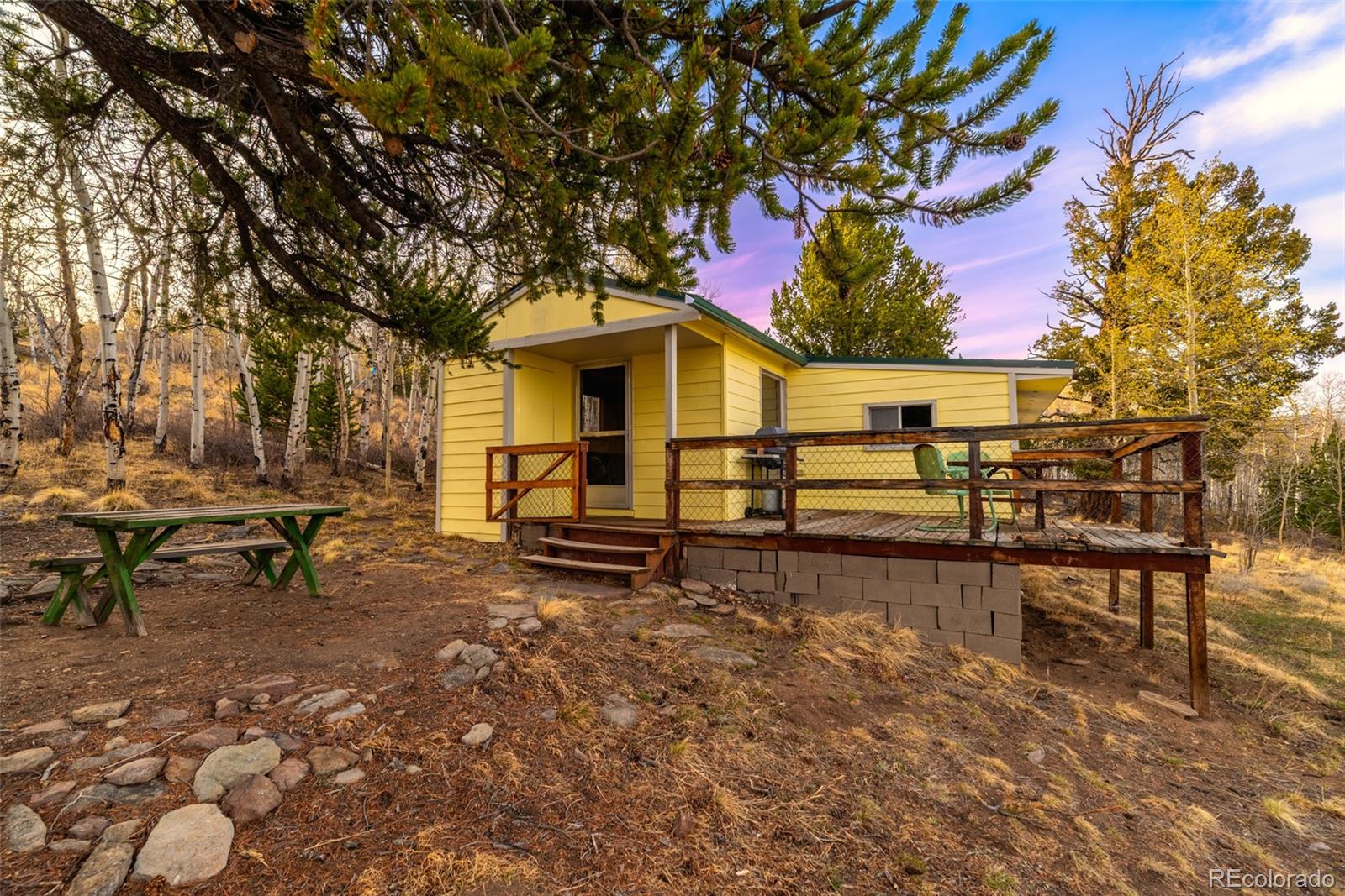 26 Meadow Drive Fairplay CO 80440