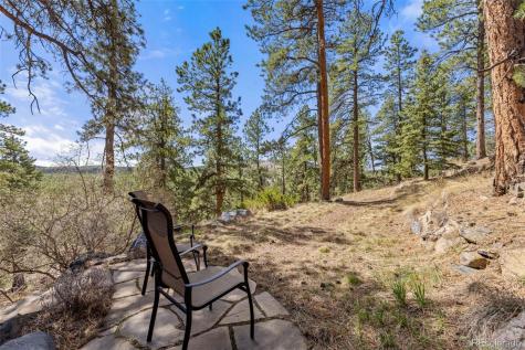 22081 Bardwell Avenue Conifer CO 80433