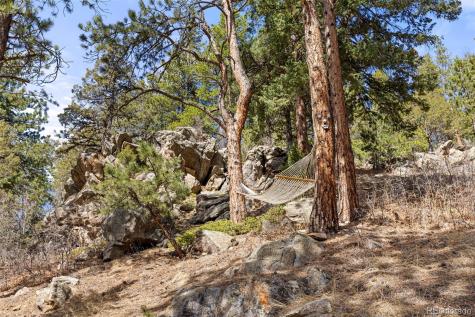 22081 Bardwell Avenue Conifer CO 80433