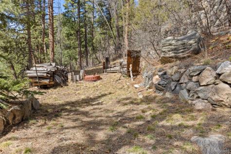 22081 Bardwell Avenue Conifer CO 80433