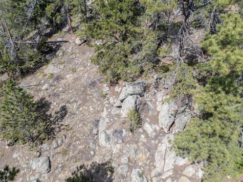 22081 Bardwell Avenue Conifer CO 80433