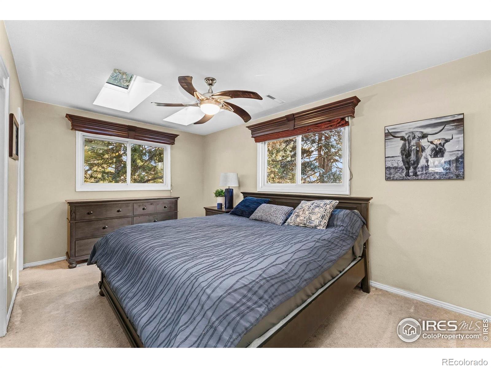 19 Dale Place Longmont CO 80501