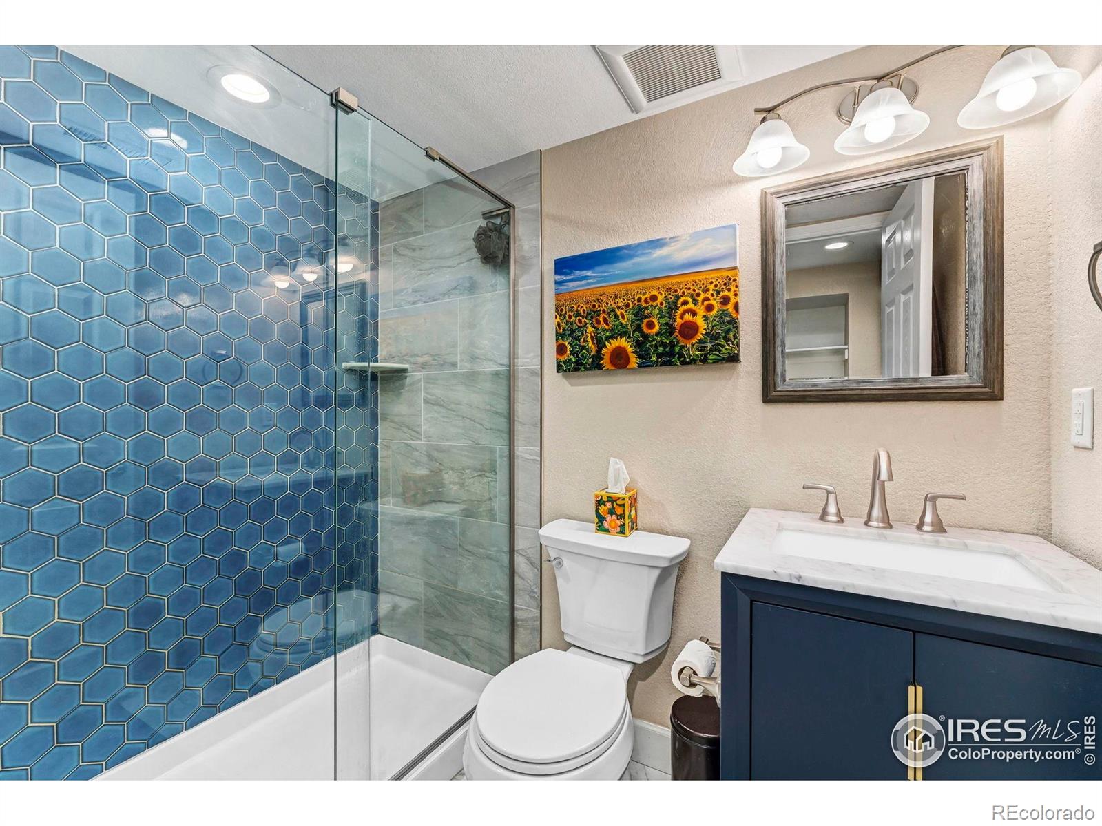 19 Dale Place Longmont CO 80501