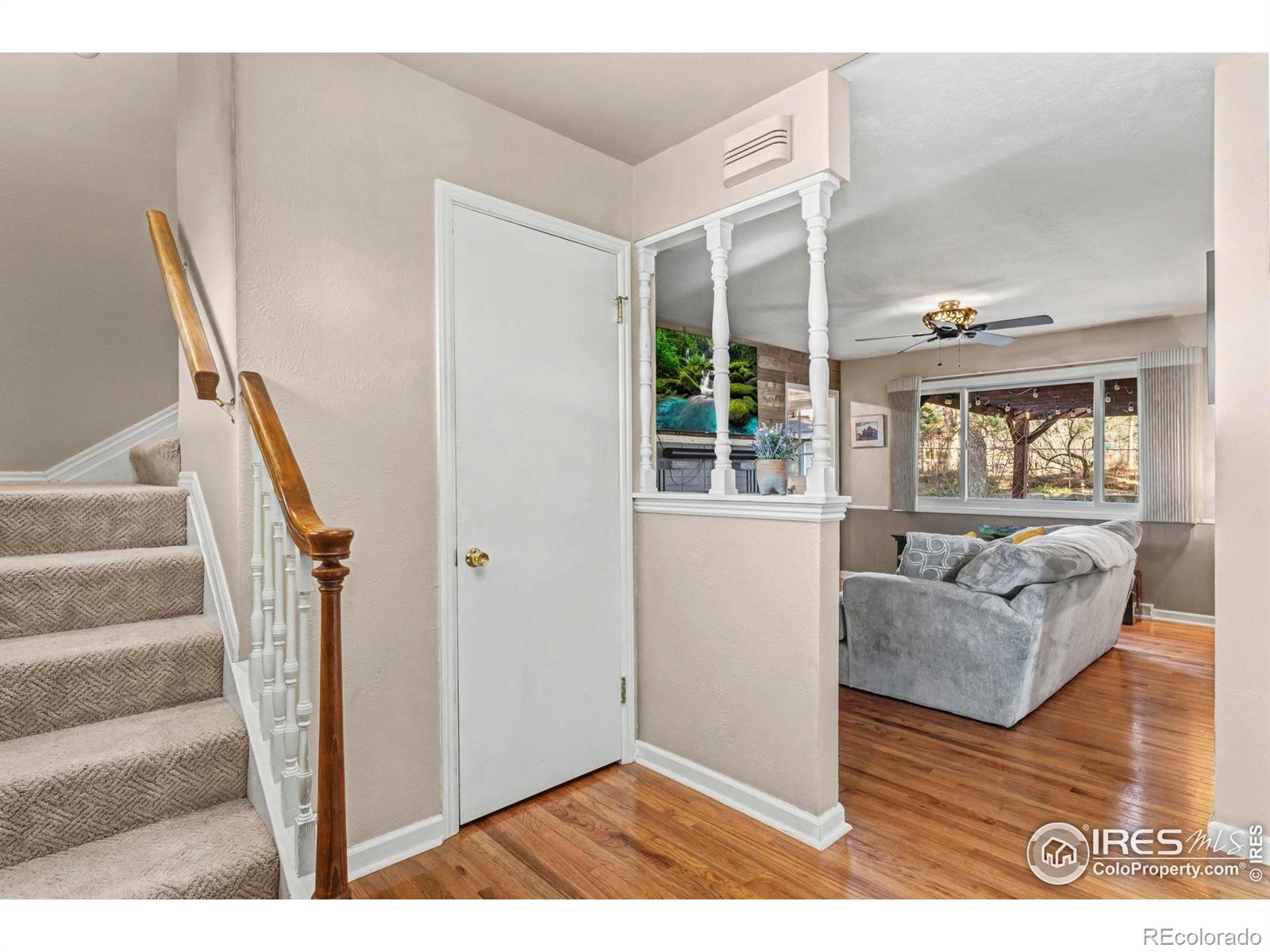 19 Dale Place Longmont CO 80501
