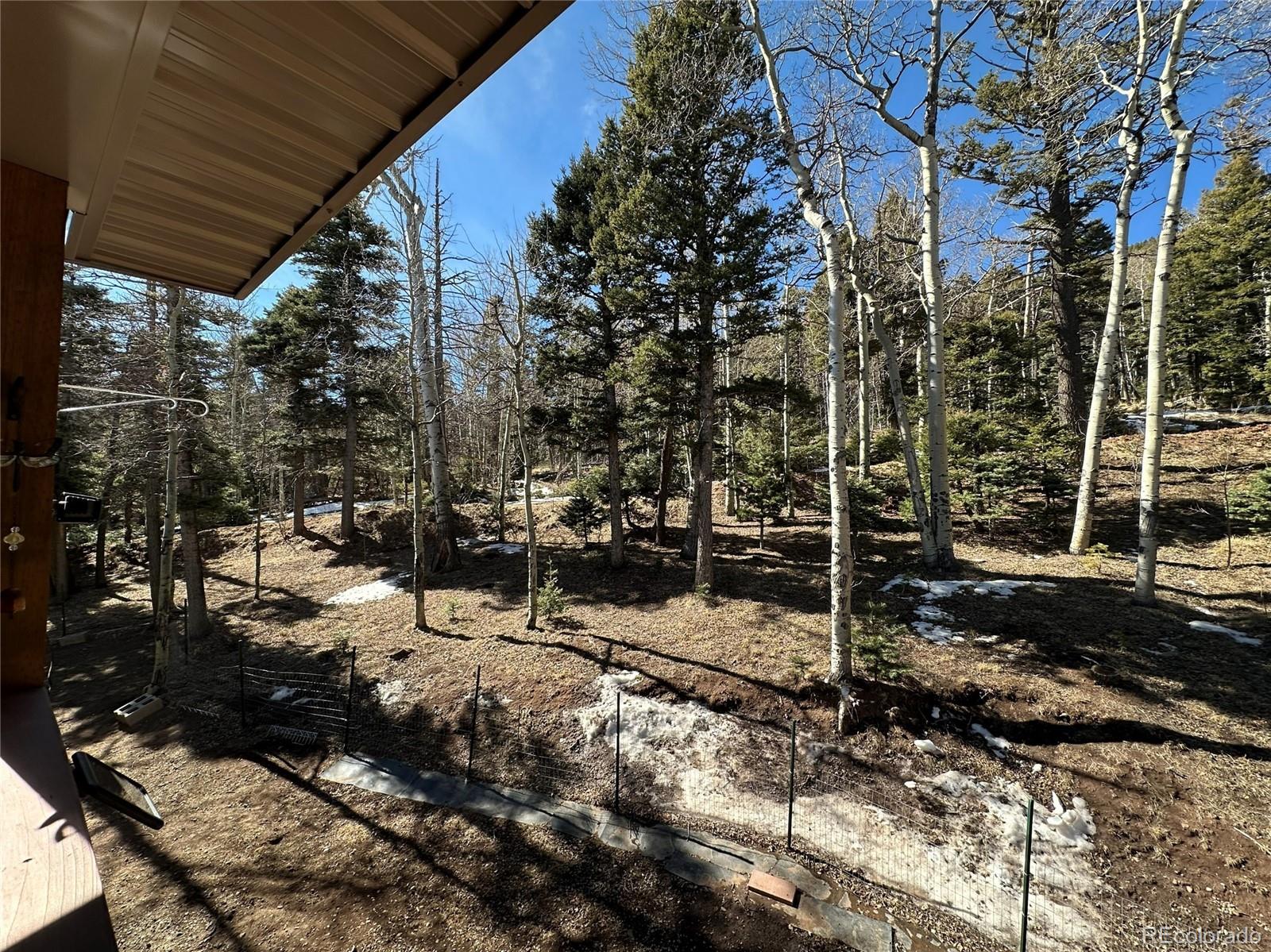 2945 Forbes Park Road Fort Garland CO 81133
