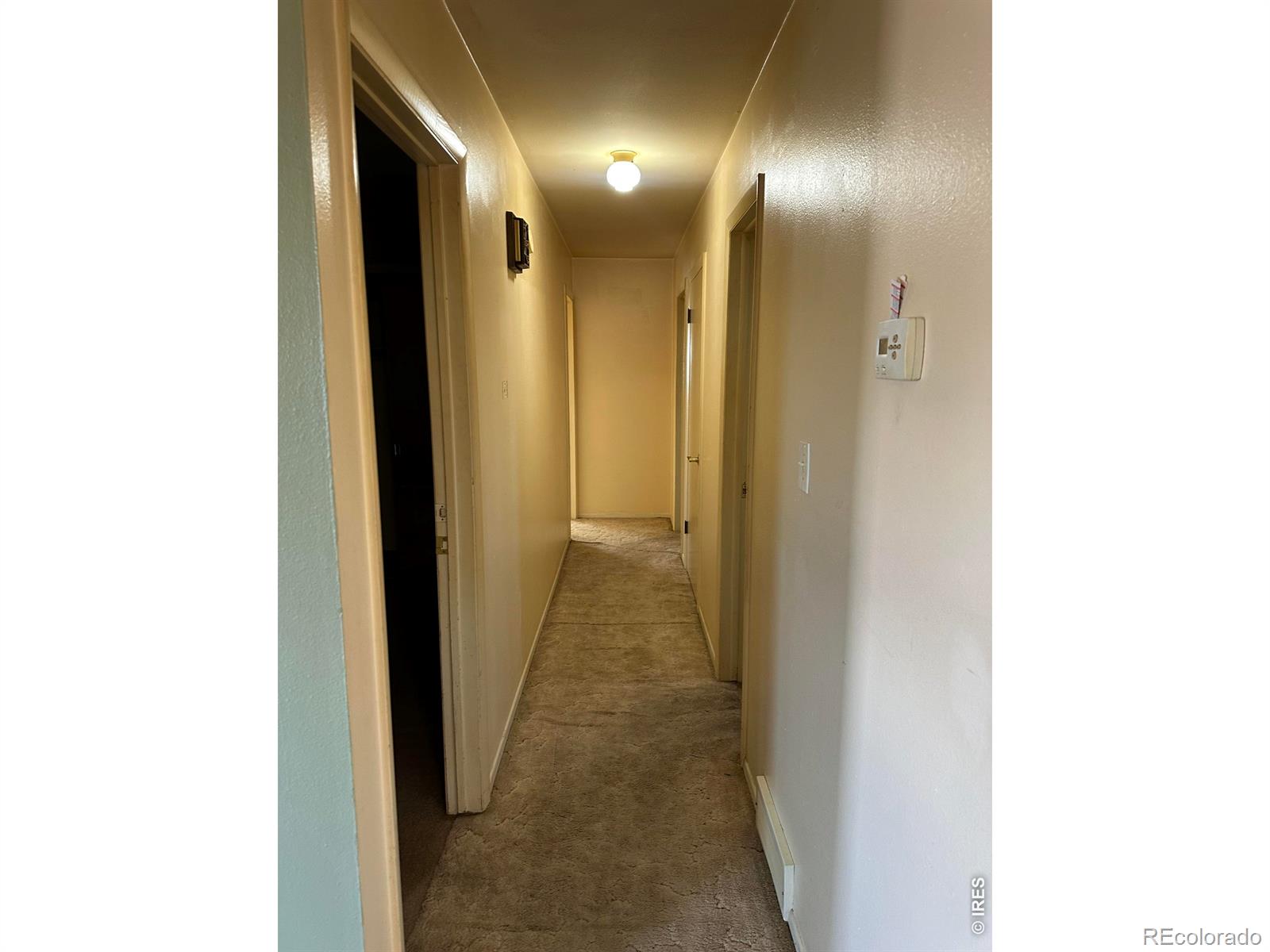 2009 Westfield Drive Fort Collins CO 80526