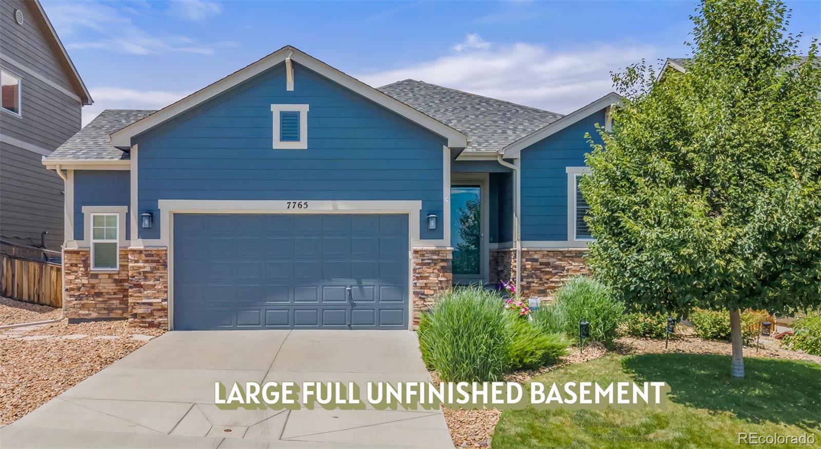 7765 Oasis Drive Castle Rock CO 80108
