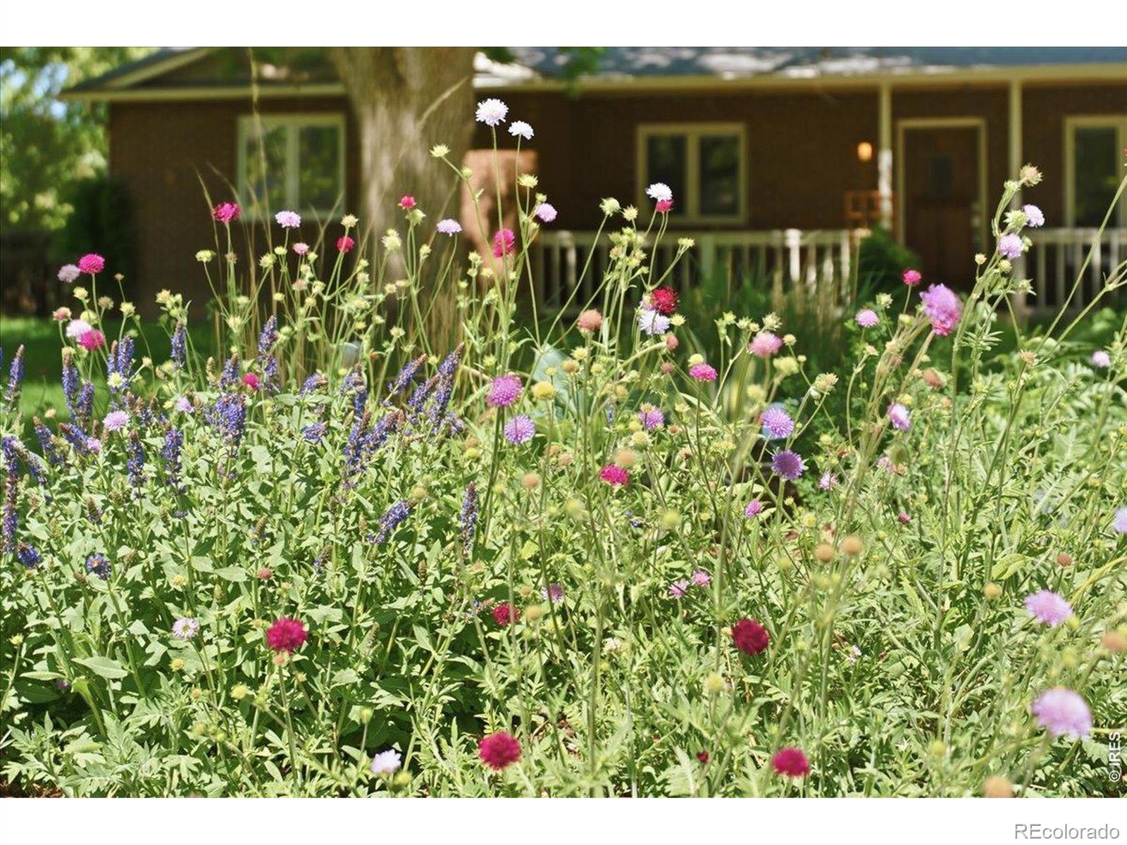 2806 Middlesborough Court Fort Collins CO 80525