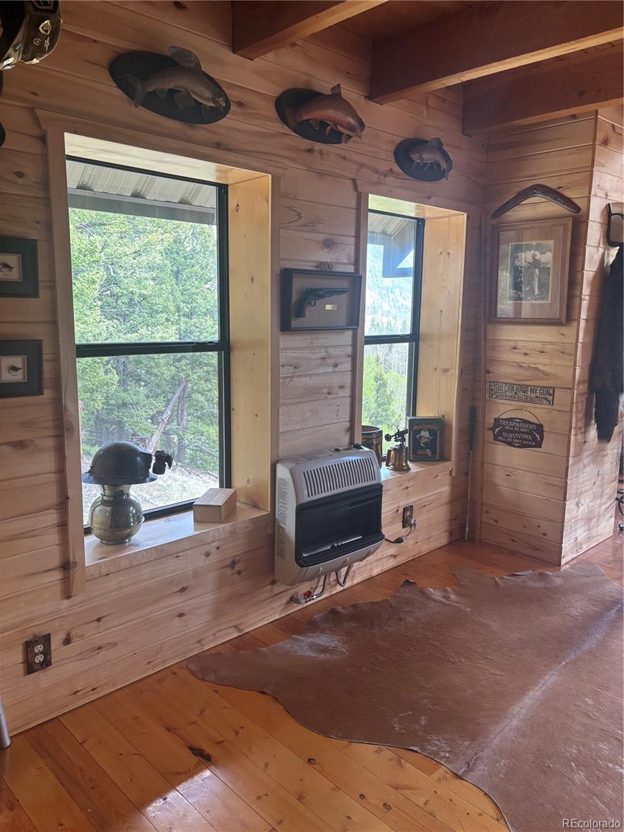 1113 Spring Street Jasper CO 81144