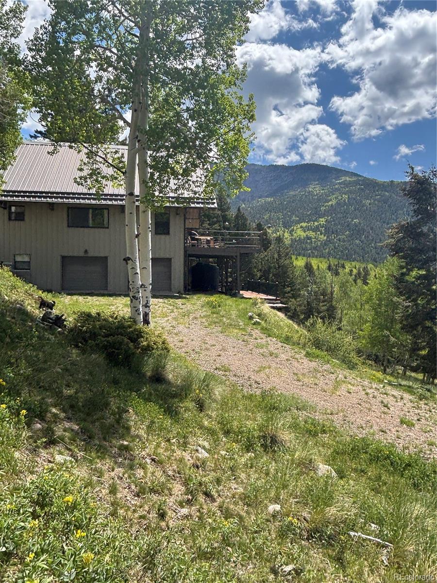 1113 Spring Street Jasper CO 81144