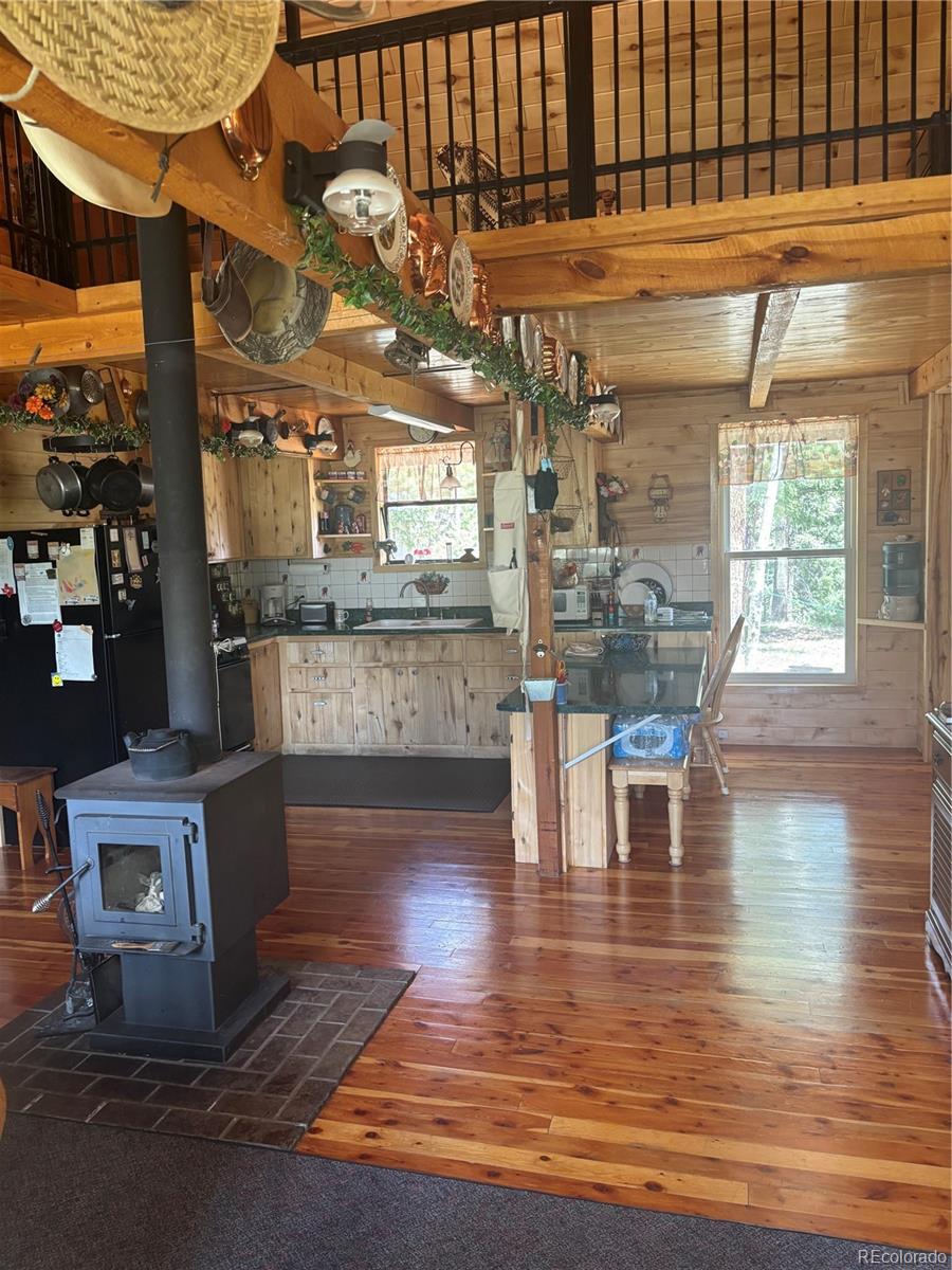 1113 Spring Street Jasper CO 81144