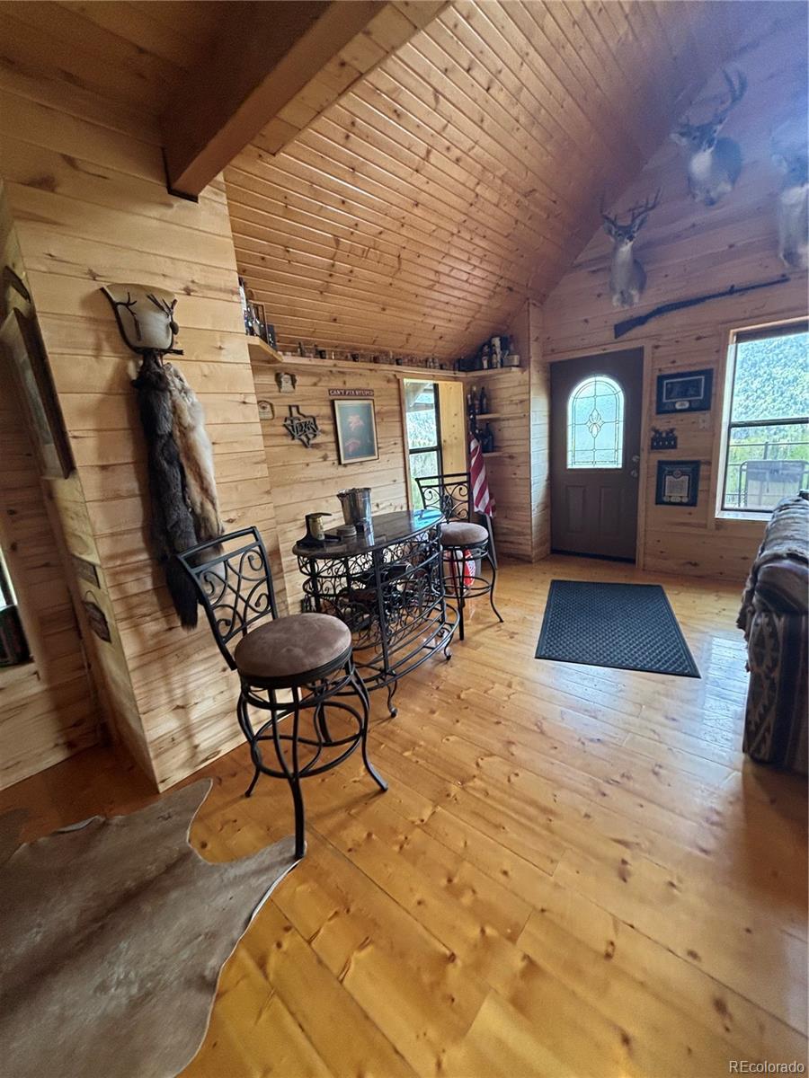 1113 Spring Street Jasper CO 81144