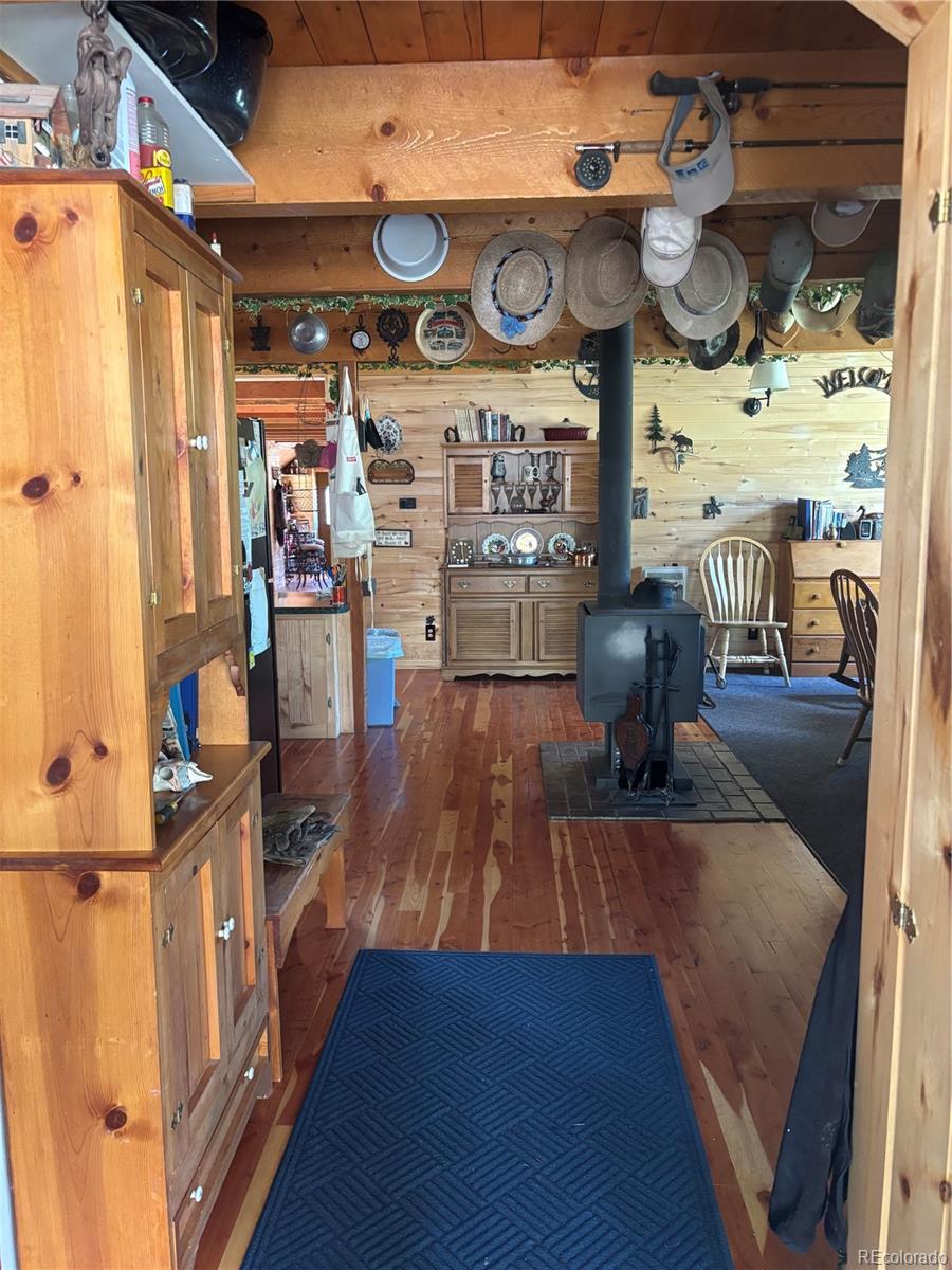 1113 Spring Street Jasper CO 81144