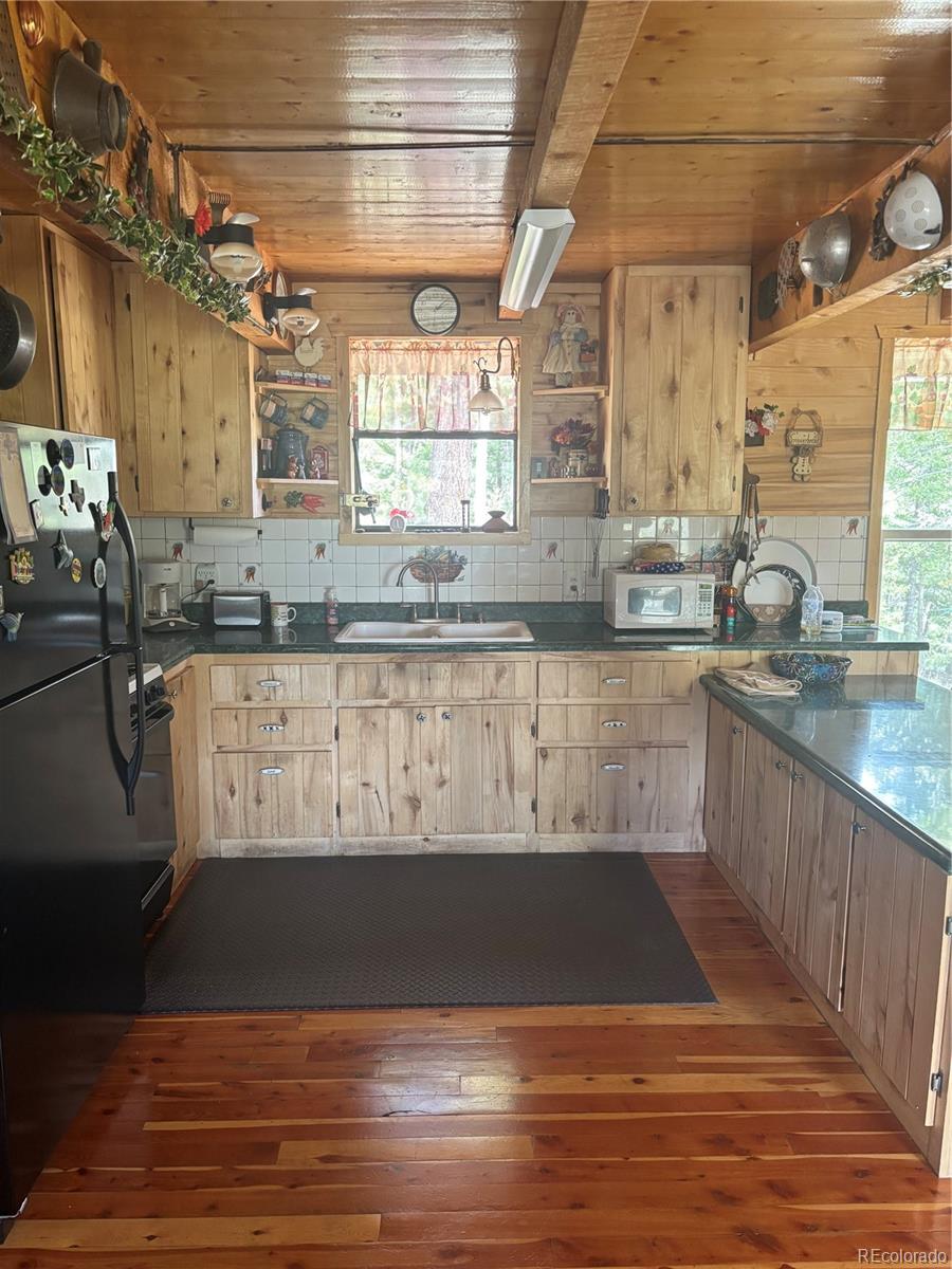 1113 Spring Street Jasper CO 81144