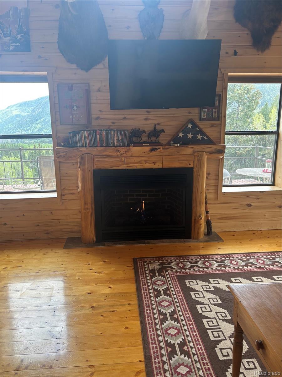 1113 Spring Street Jasper CO 81144