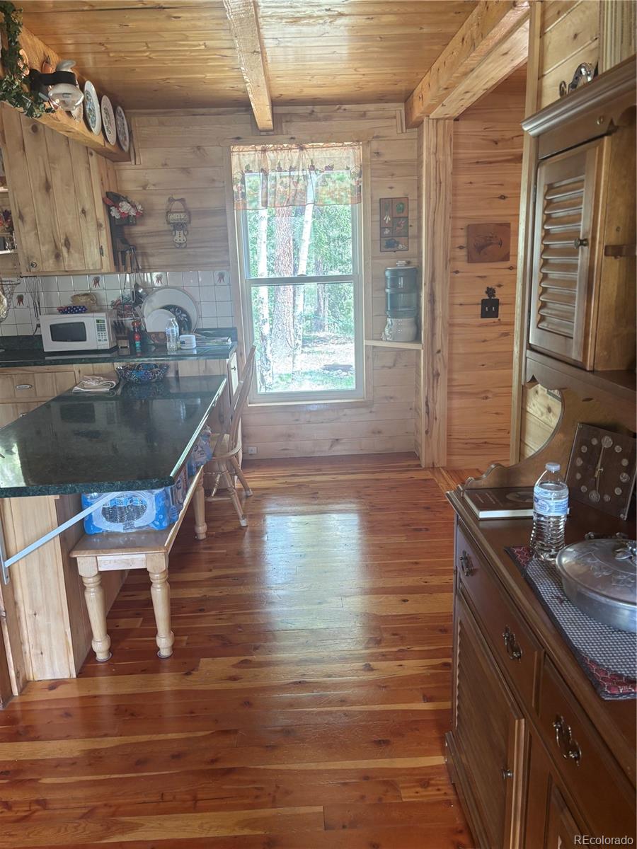 1113 Spring Street Jasper CO 81144