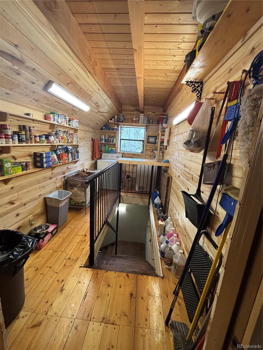 1113 Spring Street Jasper CO 81144