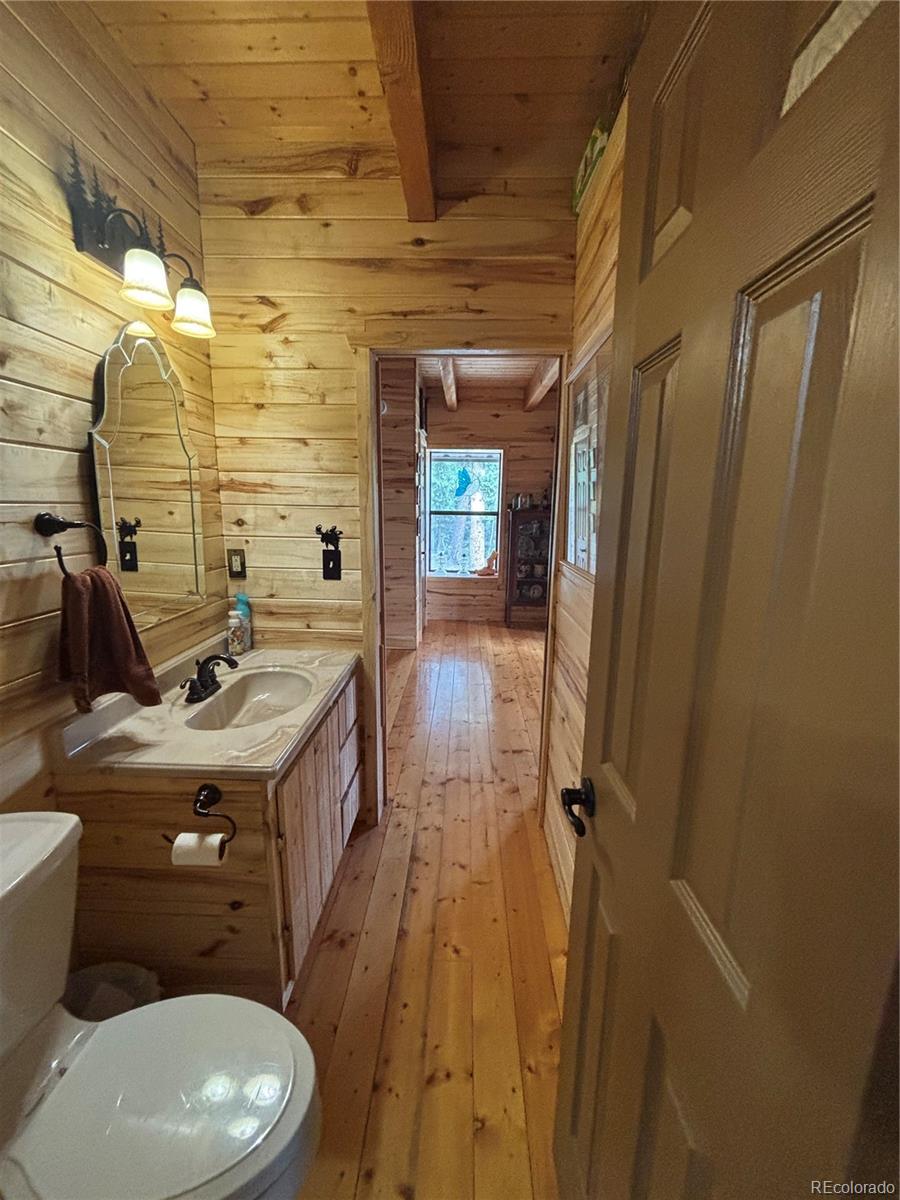 1113 Spring Street Jasper CO 81144