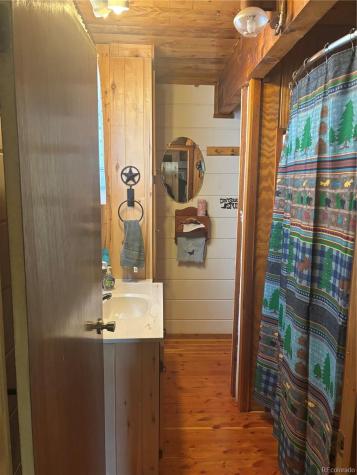 1113 Spring Street Jasper CO 81144