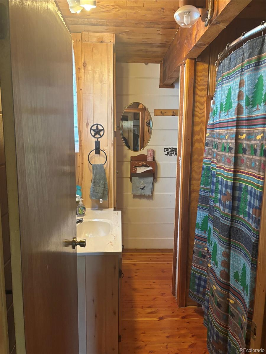 1113 Spring Street Jasper CO 81144