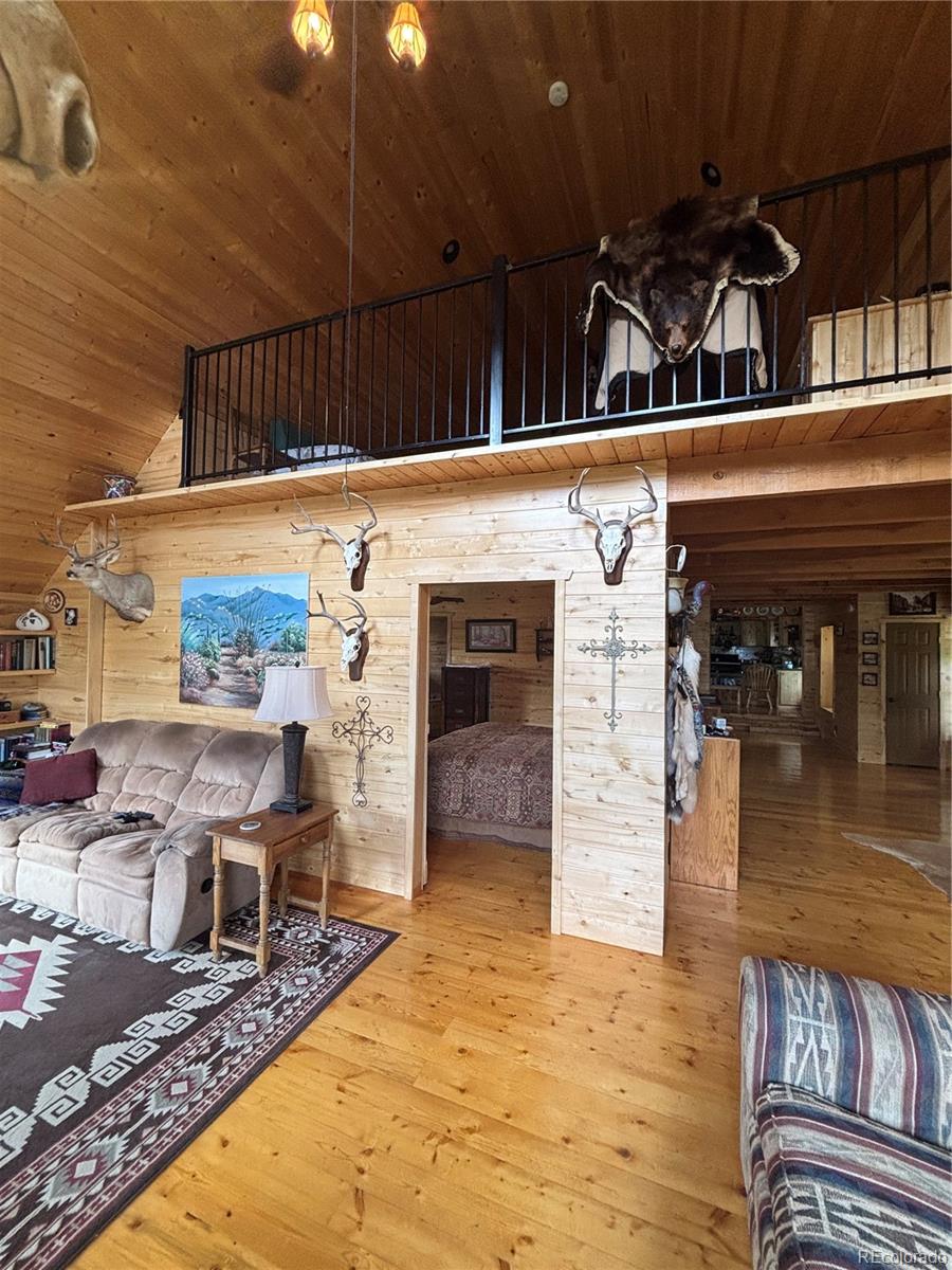 1113 Spring Street Jasper CO 81144