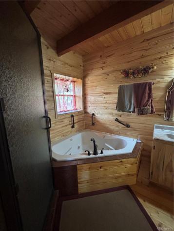1113 Spring Street Jasper CO 81144