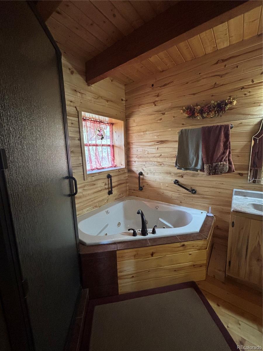 1113 Spring Street Jasper CO 81144