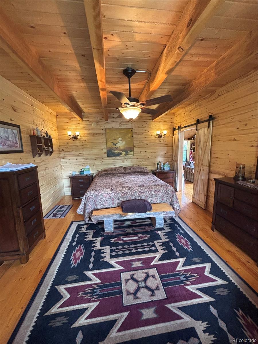 1113 Spring Street Jasper CO 81144