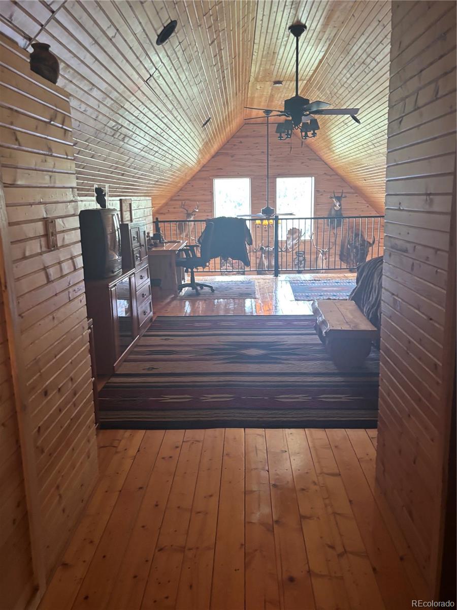 1113 Spring Street Jasper CO 81144