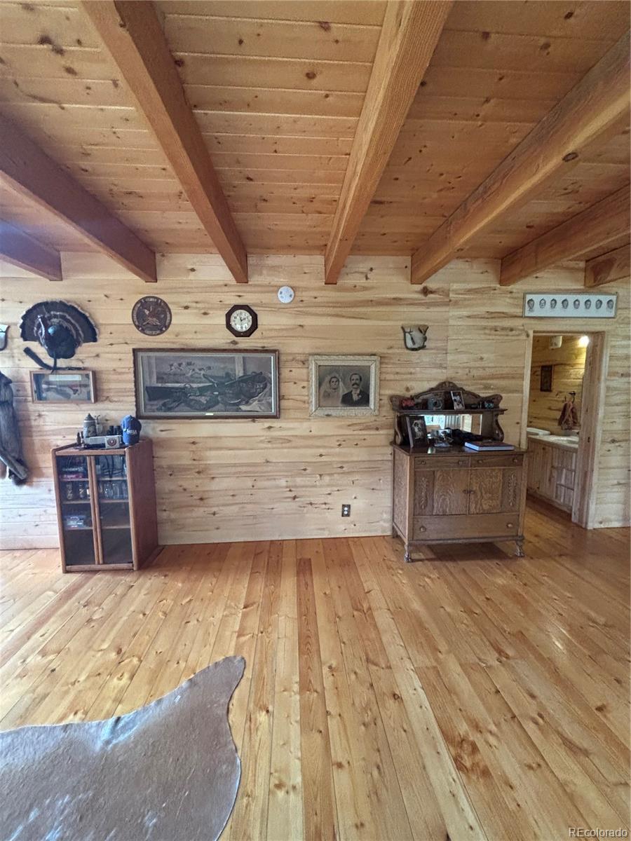 1113 Spring Street Jasper CO 81144