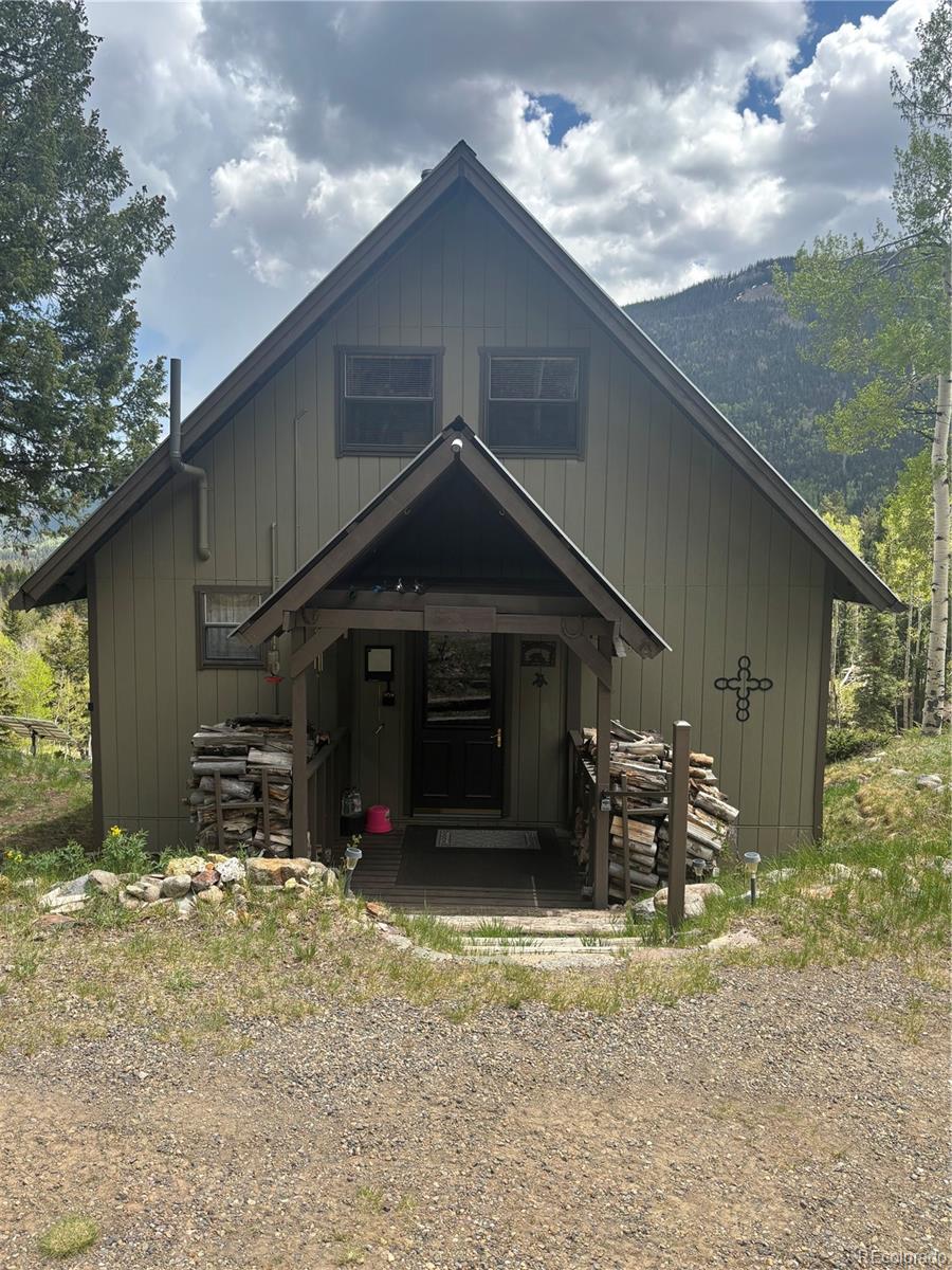 1113 Spring Street Jasper CO 81144