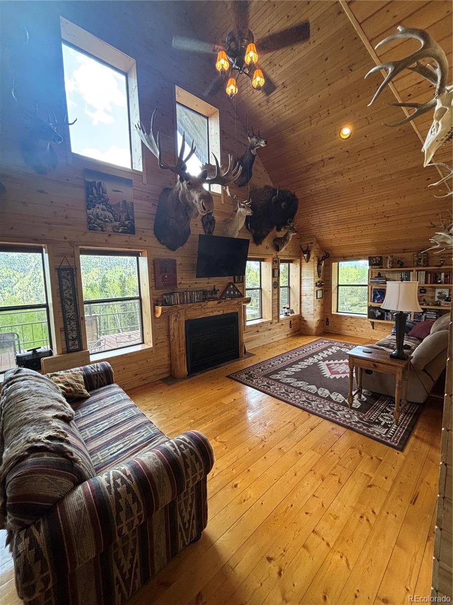 1113 Spring Street Jasper CO 81144