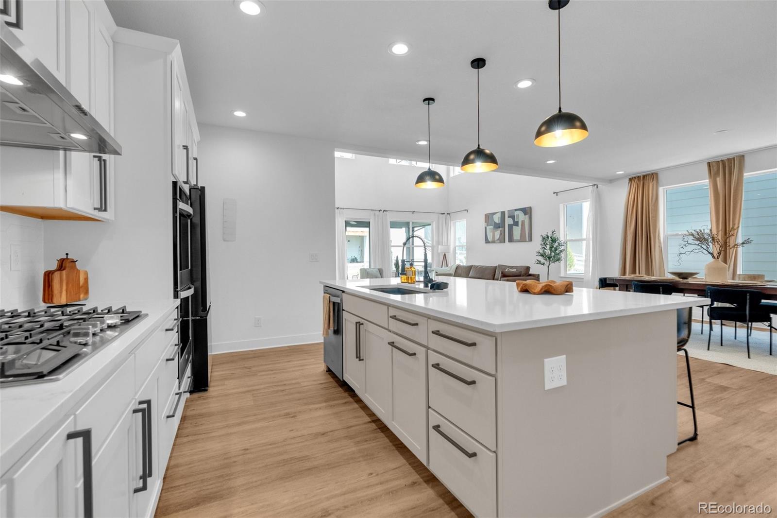 5647 Palmia Lane Parker CO 80134