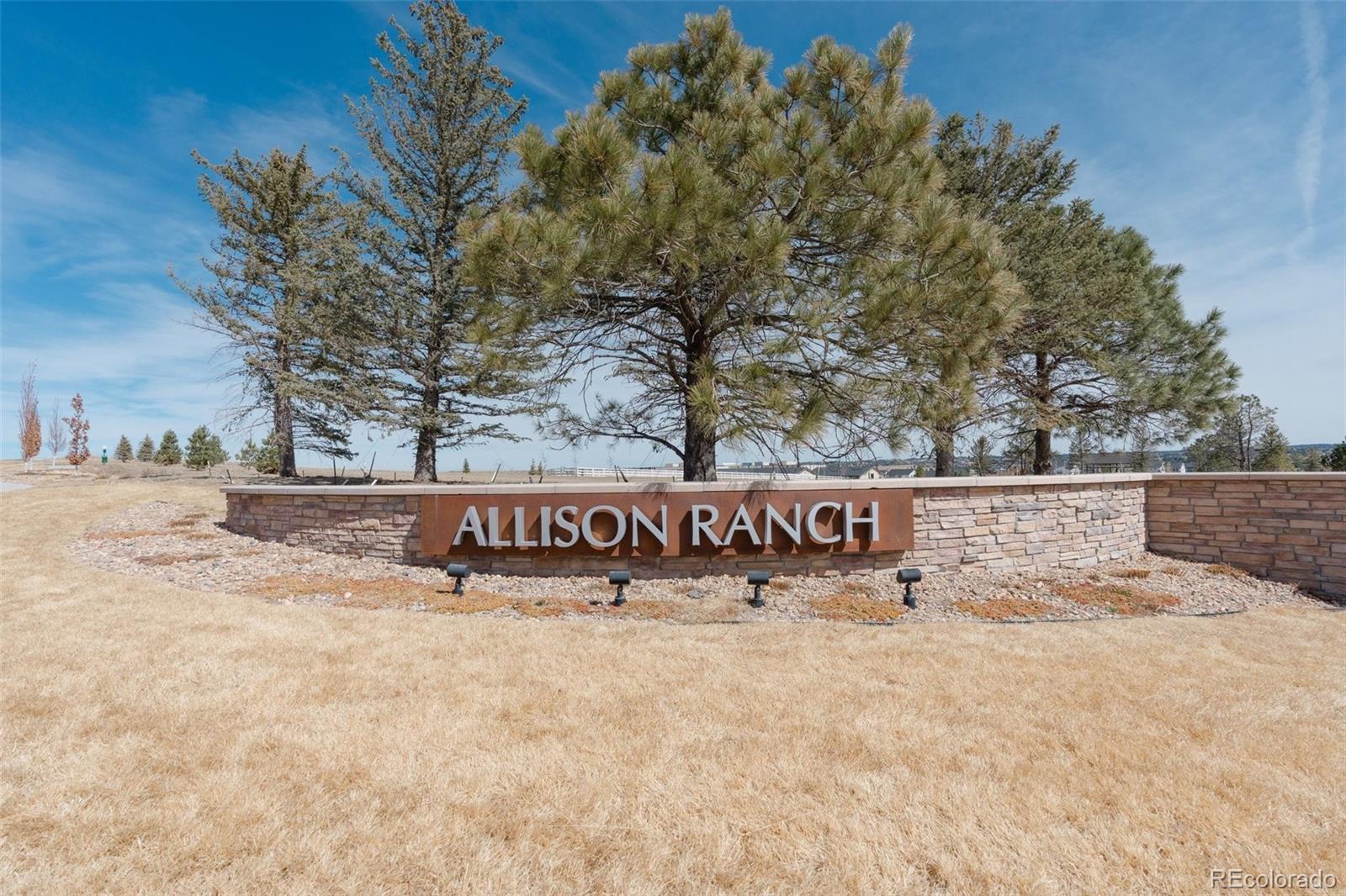 5647 Palmia Lane Parker CO 80134