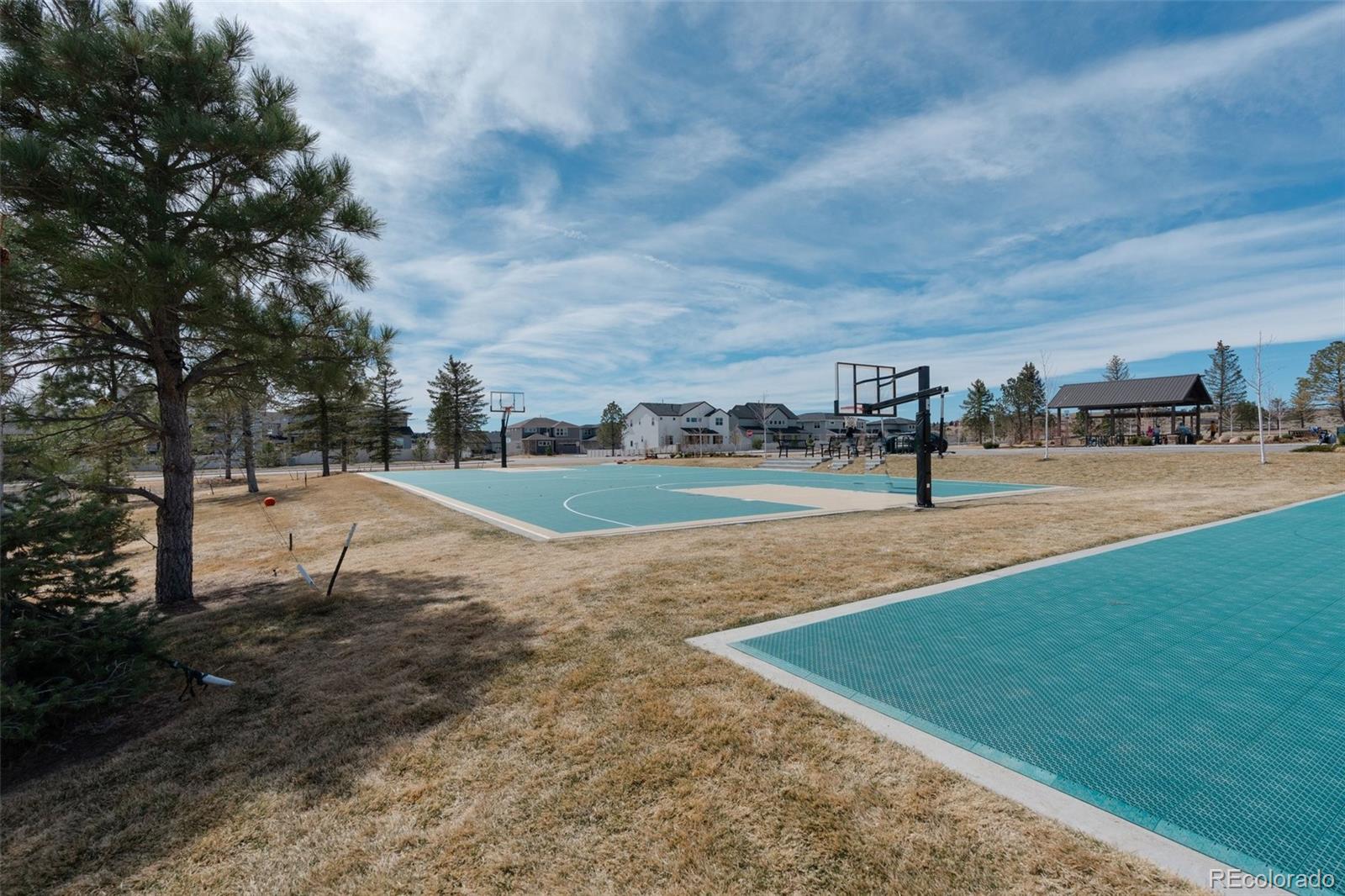 5647 Palmia Lane Parker CO 80134