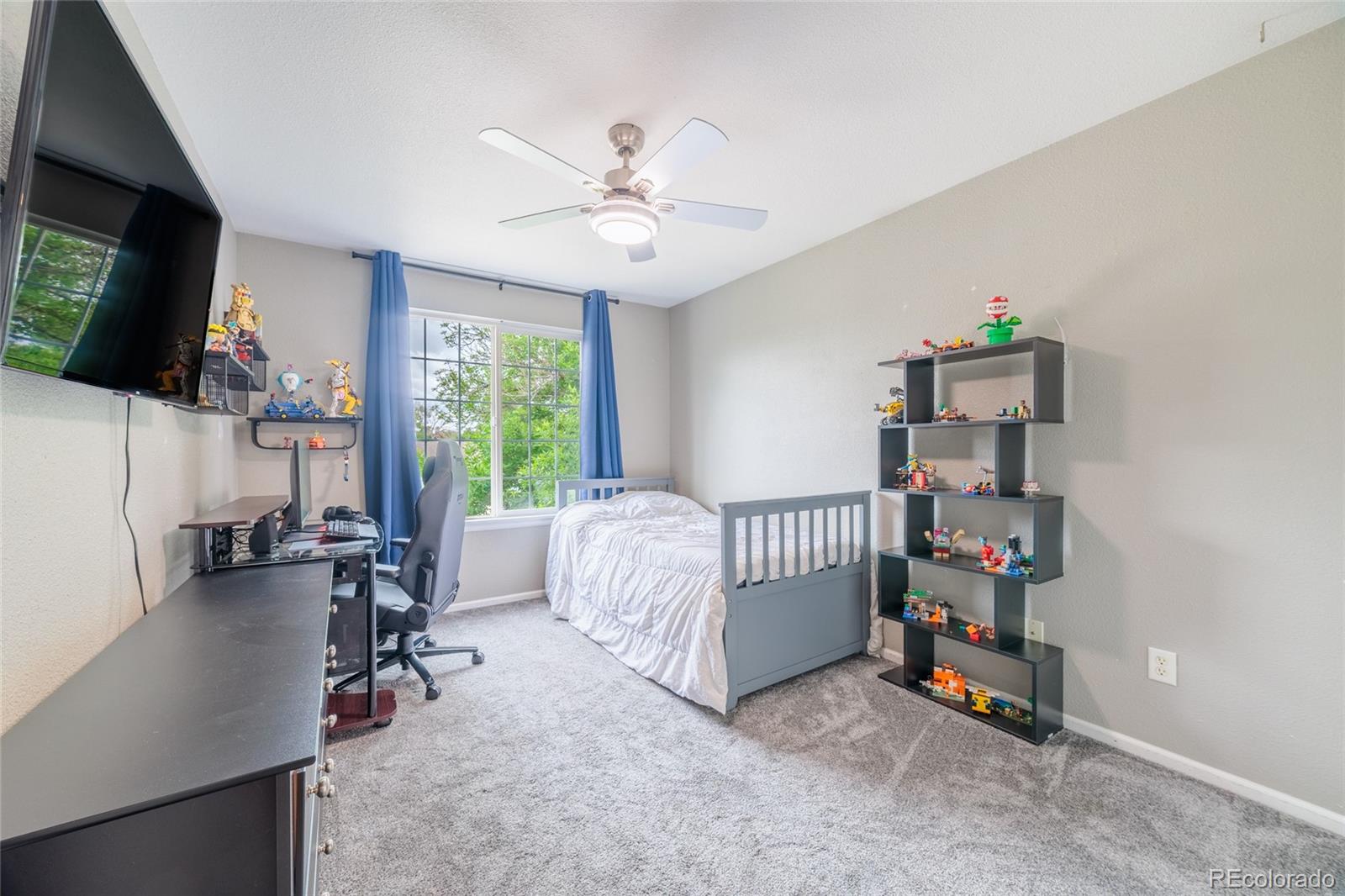 11285 Daisy Court Firestone CO 80504