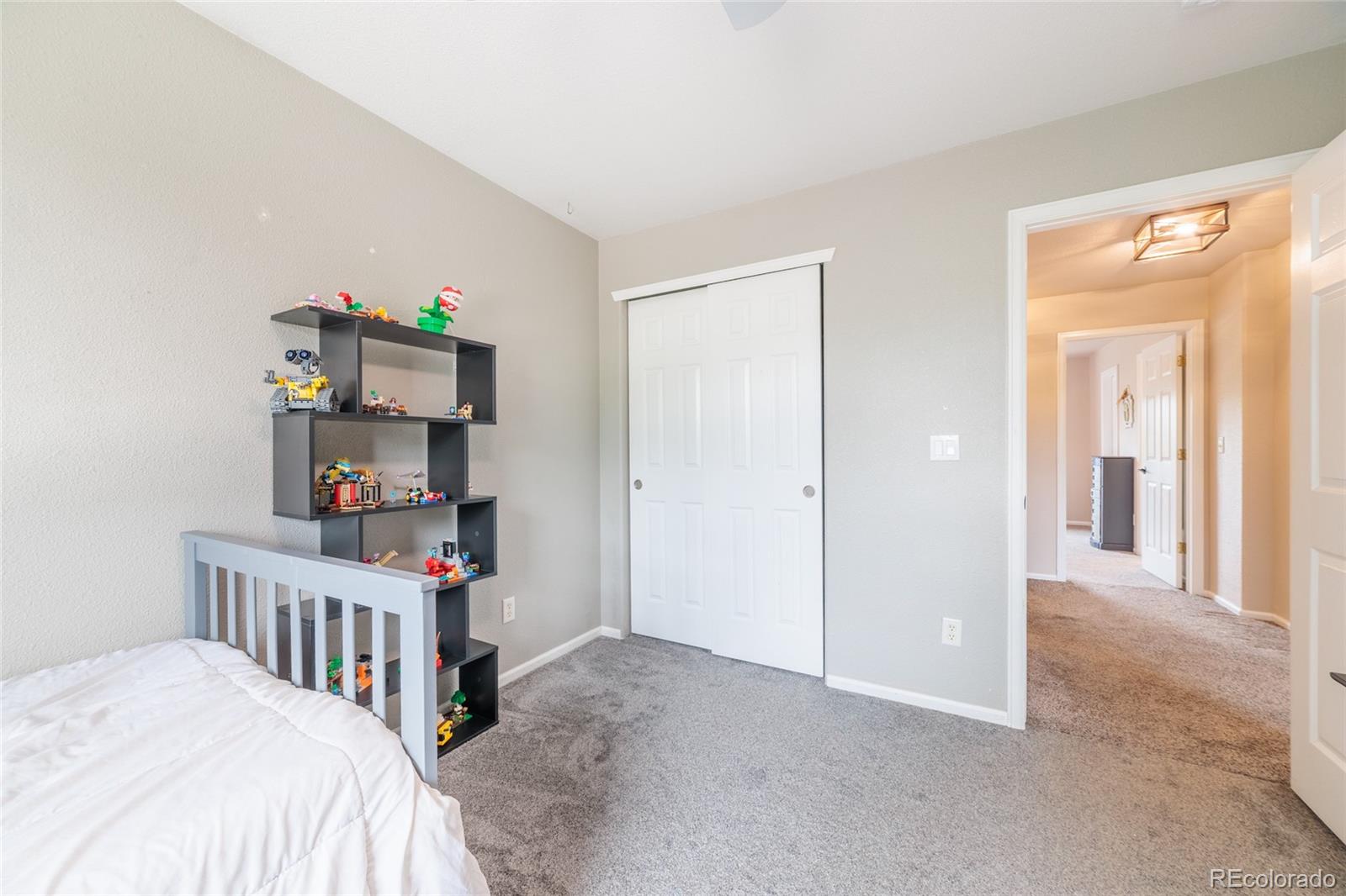 11285 Daisy Court Firestone CO 80504