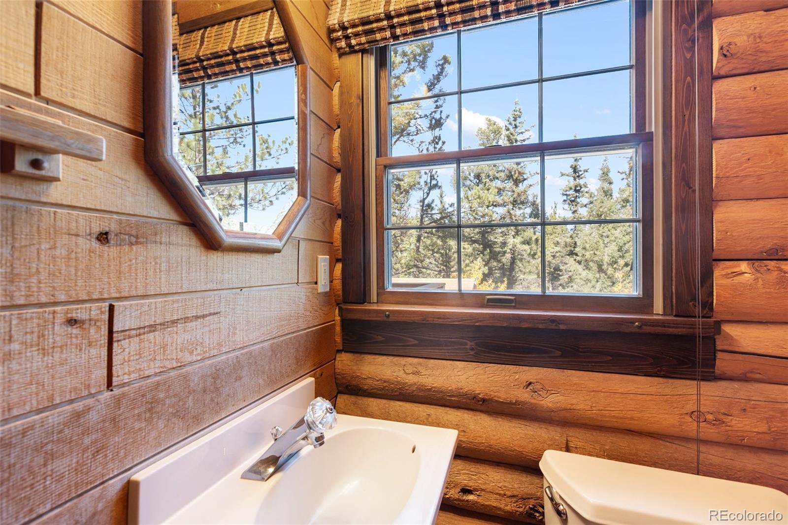 457 Stonehenge Drive Florissant CO 80816